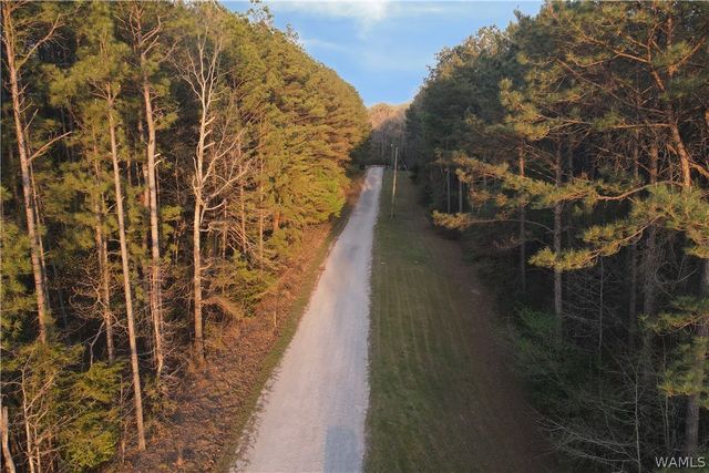 12318 Hidden Falls, Northport, AL 35475