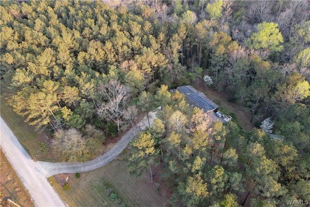 12318 Hidden Falls, Northport, AL 35475