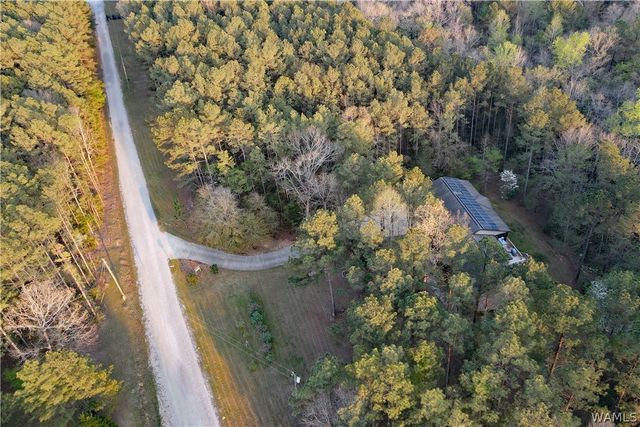 12318 Hidden Falls, Northport, AL 35475