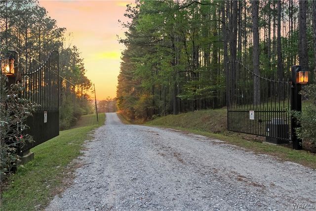 12318 Hidden Falls, Northport, AL 35475