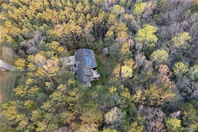 12318 Hidden Falls, Northport, AL 35475