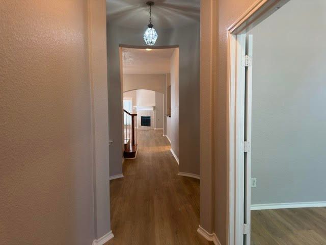 9217 AMBER DOWNS Drive, Mckinney, TX 75072