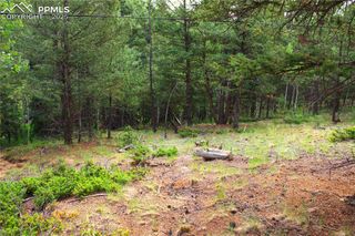 123 Ellis Lake Circle, Divide, CO 80814