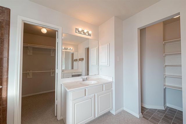 11111 Cactus Point Court, Houston, TX 77095