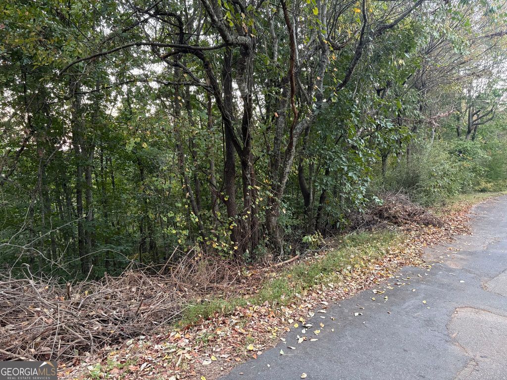 0 Grandview Circle, Cornelia, GA 30531 — exterior