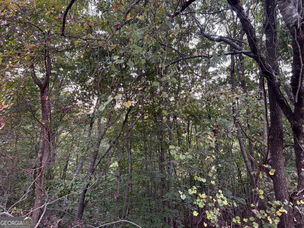 0 Grandview Circle, Cornelia, GA 30531 — photo 2