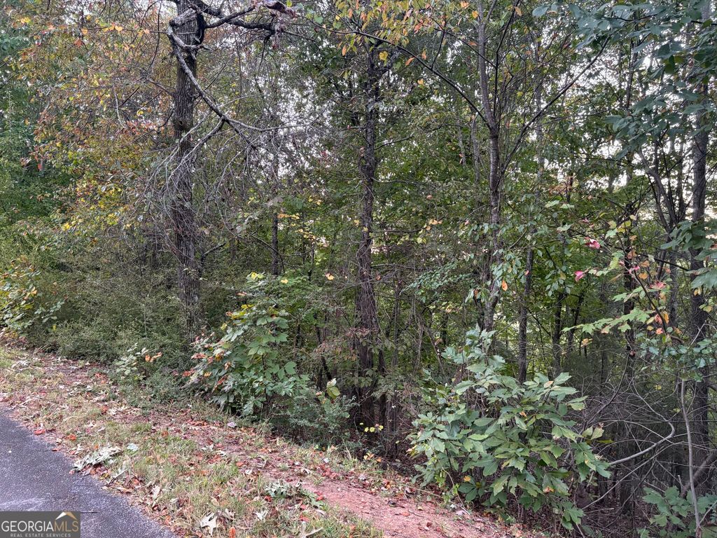 0 Grandview Circle, Cornelia, GA 30531 — photo 3
