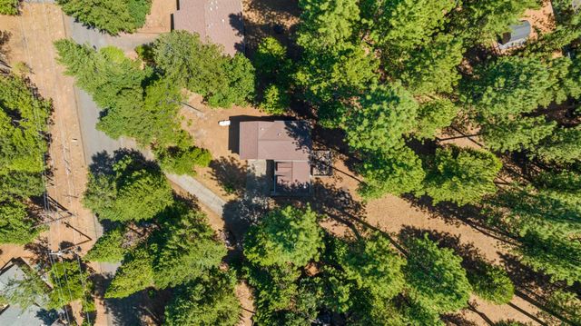 5768 Lupin Ln, Pollock Pines, CA 95726