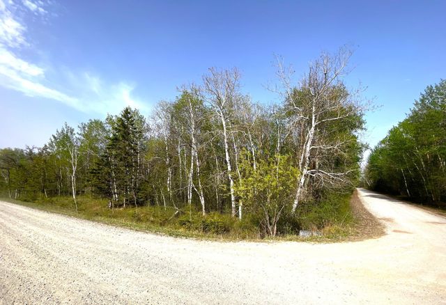 TBD 585th Avenue, Warroad, MN 56763