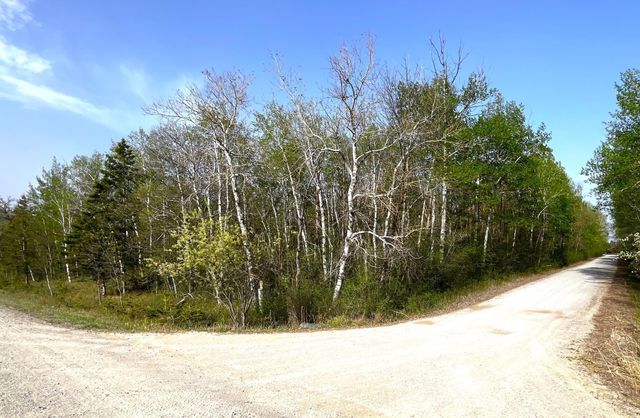 TBD 585th Avenue, Warroad, MN 56763