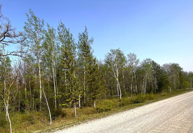TBD 585th Avenue, Warroad, MN 56763