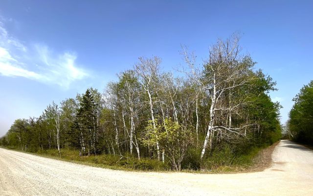 TBD 585th Avenue, Warroad, MN 56763