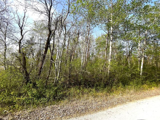 TBD 585th Avenue, Warroad, MN 56763