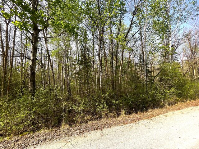 TBD 585th Avenue, Warroad, MN 56763