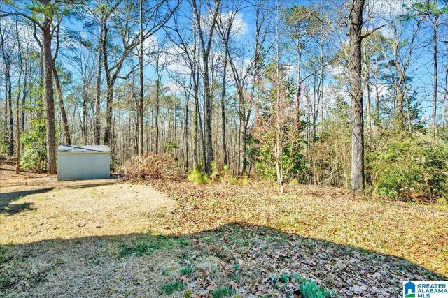 1069 LIBERTY ROAD, Chelsea, AL 35043