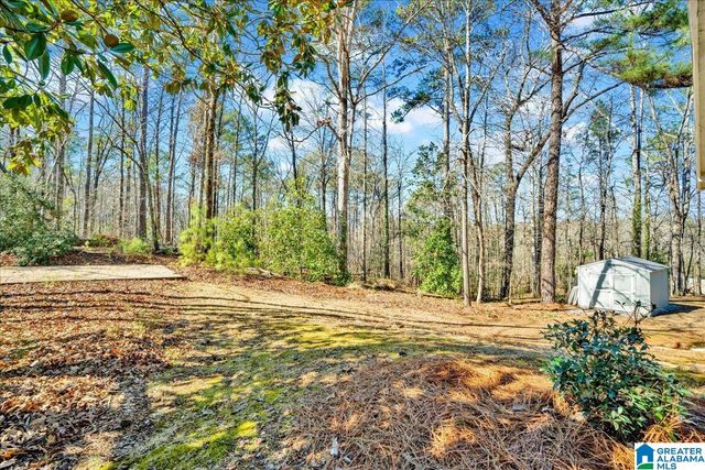 1069 LIBERTY ROAD, Chelsea, AL 35043