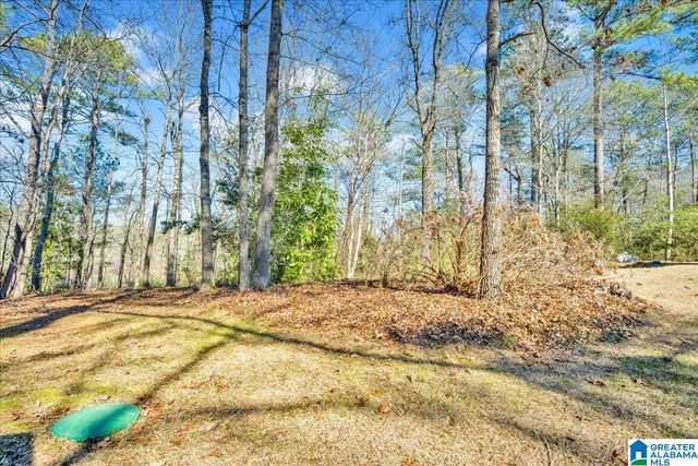 1069 LIBERTY ROAD, Chelsea, AL 35043