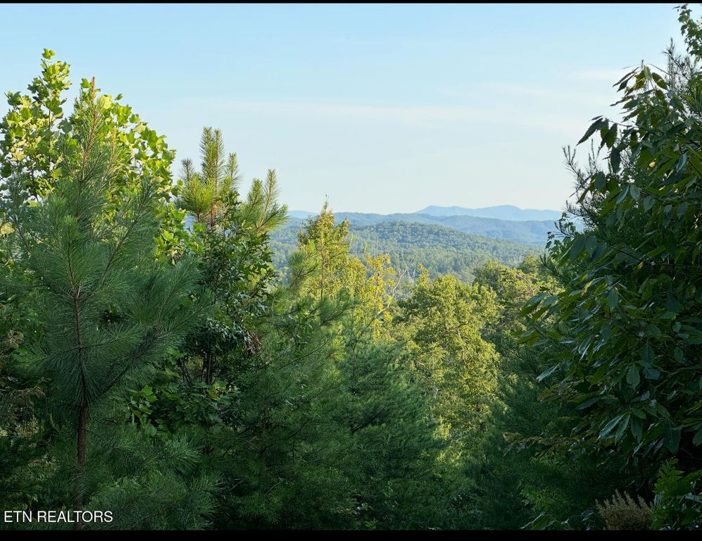 351 White Plains Rd, Vonore, TN 37885
