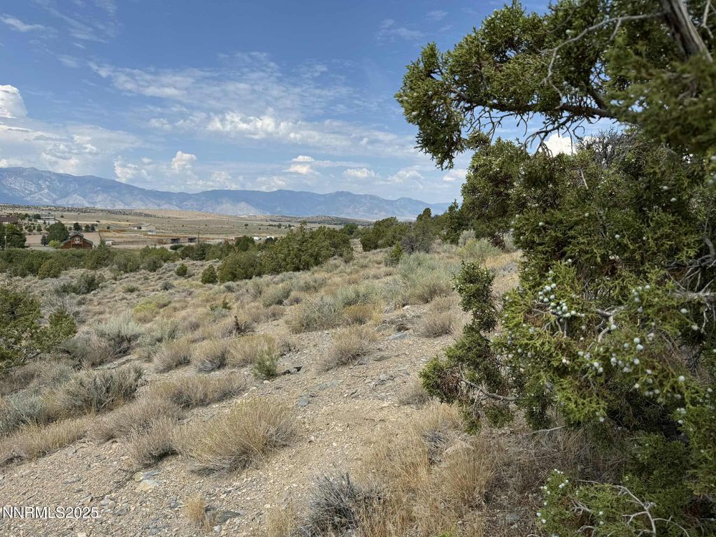 TBD Old Ranch Road 2, Gardnerville, NV 89410