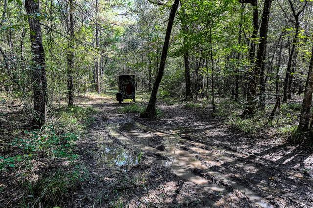 0 Hwy 105, Hull, TX 77564
