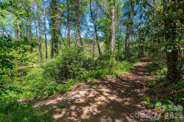 400 Vista Lake Drive 002, Candler, NC 28715