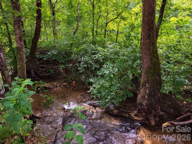 364 Hallelujah Hill Lane, Columbus, NC 28722