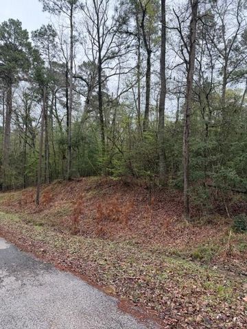 Lot 39, 40 & 41 S Lakeview Drive, Point Blank, TX 77364