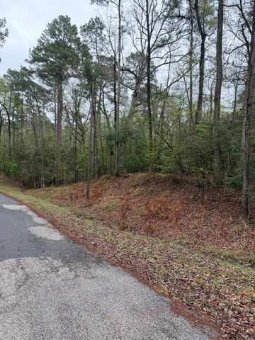 Lot 39, 40 & 41 S Lakeview Drive, Point Blank, TX 77364