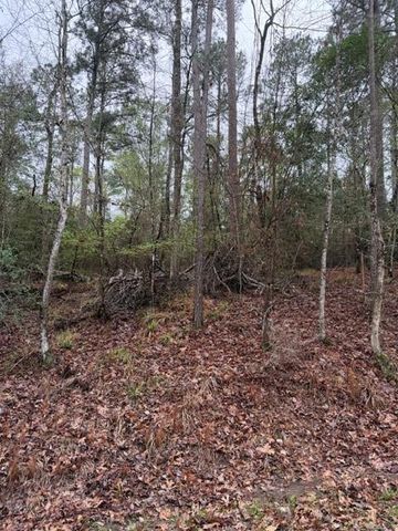 Lot 39, 40 & 41 S Lakeview Drive, Point Blank, TX 77364