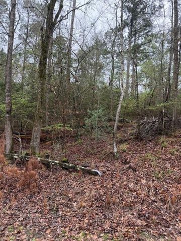 Lot 39, 40 & 41 S Lakeview Drive, Point Blank, TX 77364