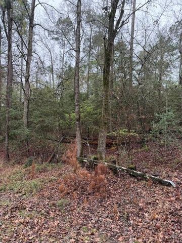 Lot 39, 40 & 41 S Lakeview Drive, Point Blank, TX 77364