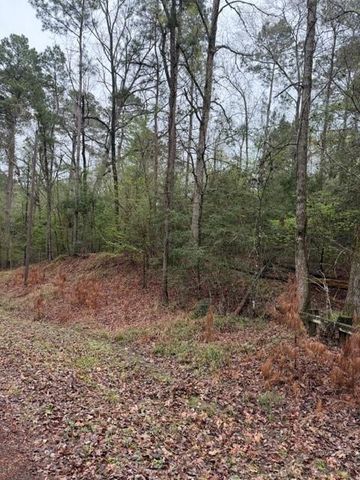 Lot 39, 40 & 41 S Lakeview Drive, Point Blank, TX 77364