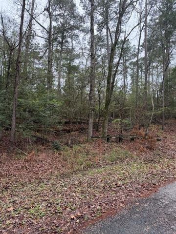 Lot 39, 40 & 41 S Lakeview Drive, Point Blank, TX 77364