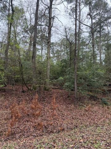 Lot 39, 40 & 41 S Lakeview Drive, Point Blank, TX 77364