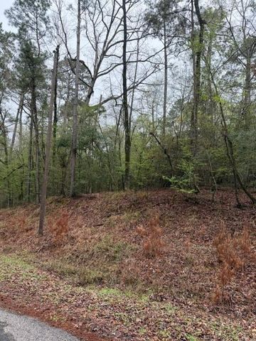 Lot 39, 40 & 41 S Lakeview Drive, Point Blank, TX 77364