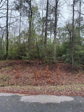 Lot 39, 40 & 41 S Lakeview Drive, Point Blank, TX 77364