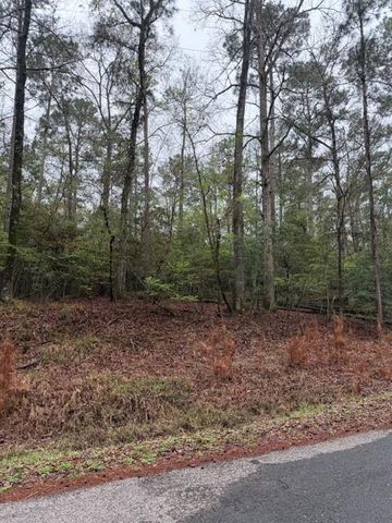 Lot 39, 40 & 41 S Lakeview Drive, Point Blank, TX 77364