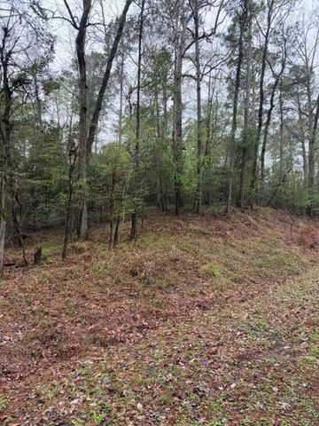 Lot 39, 40 & 41 S Lakeview Drive, Point Blank, TX 77364