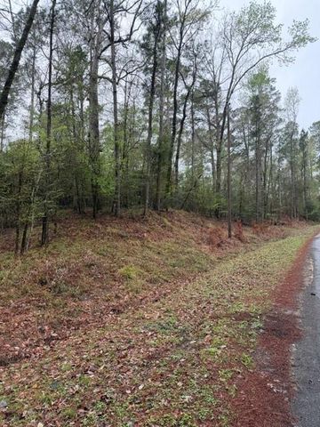 Lot 39, 40 & 41 S Lakeview Drive, Point Blank, TX 77364