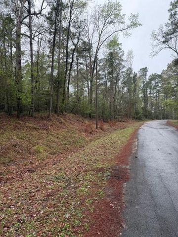 Lot 39, 40 & 41 S Lakeview Drive, Point Blank, TX 77364