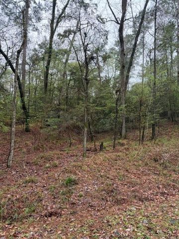 Lot 39, 40 & 41 S Lakeview Drive, Point Blank, TX 77364