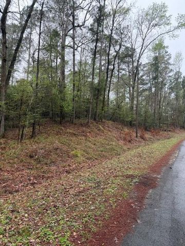 Lot 39, 40 & 41 S Lakeview Drive, Point Blank, TX 77364