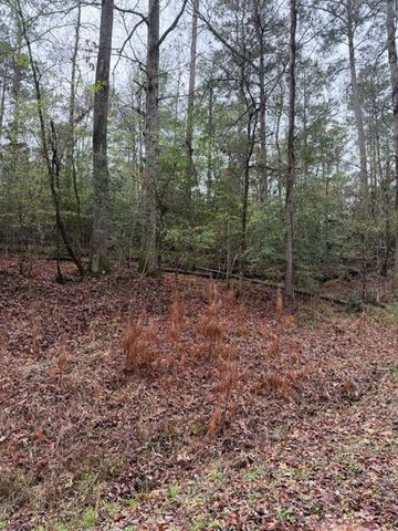 Lot 39, 40 & 41 S Lakeview Drive, Point Blank, TX 77364