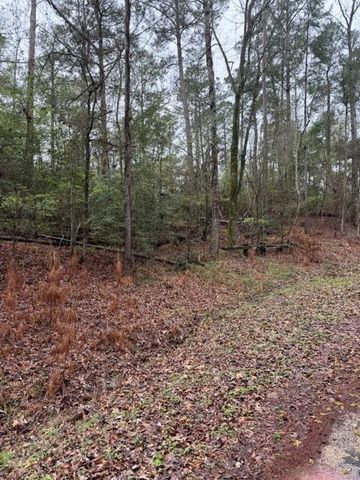 Lot 39, 40 & 41 S Lakeview Drive, Point Blank, TX 77364