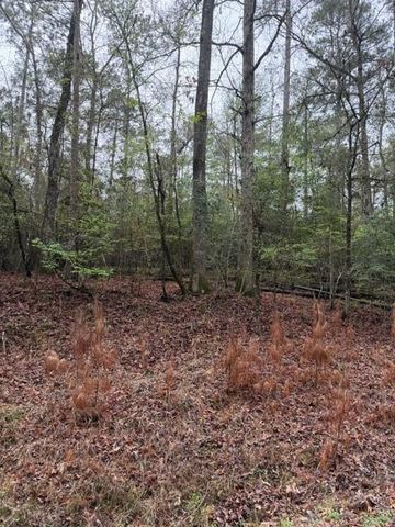 Lot 39, 40 & 41 S Lakeview Drive, Point Blank, TX 77364