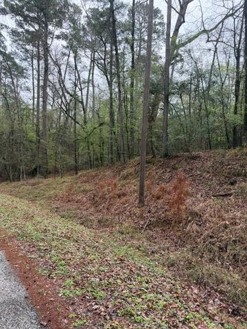 Lot 39, 40 & 41 S Lakeview Drive, Point Blank, TX 77364