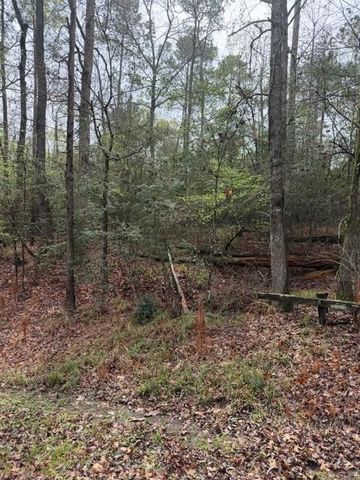 Lot 39, 40 & 41 S Lakeview Drive, Point Blank, TX 77364