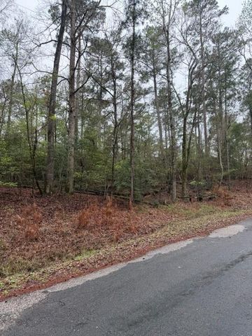 Lot 39, 40 & 41 S Lakeview Drive, Point Blank, TX 77364