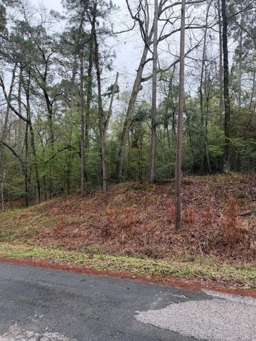 Lot 39, 40 & 41 S Lakeview Drive, Point Blank, TX 77364