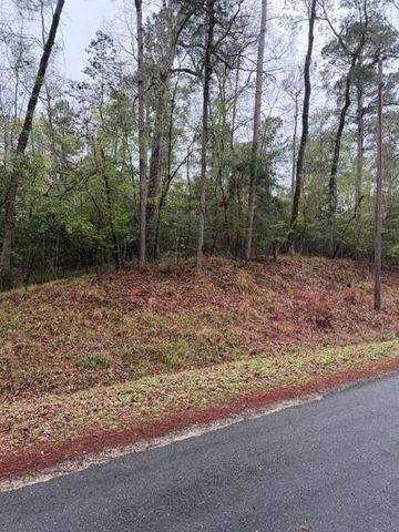 Lot 39, 40 & 41 S Lakeview Drive, Point Blank, TX 77364